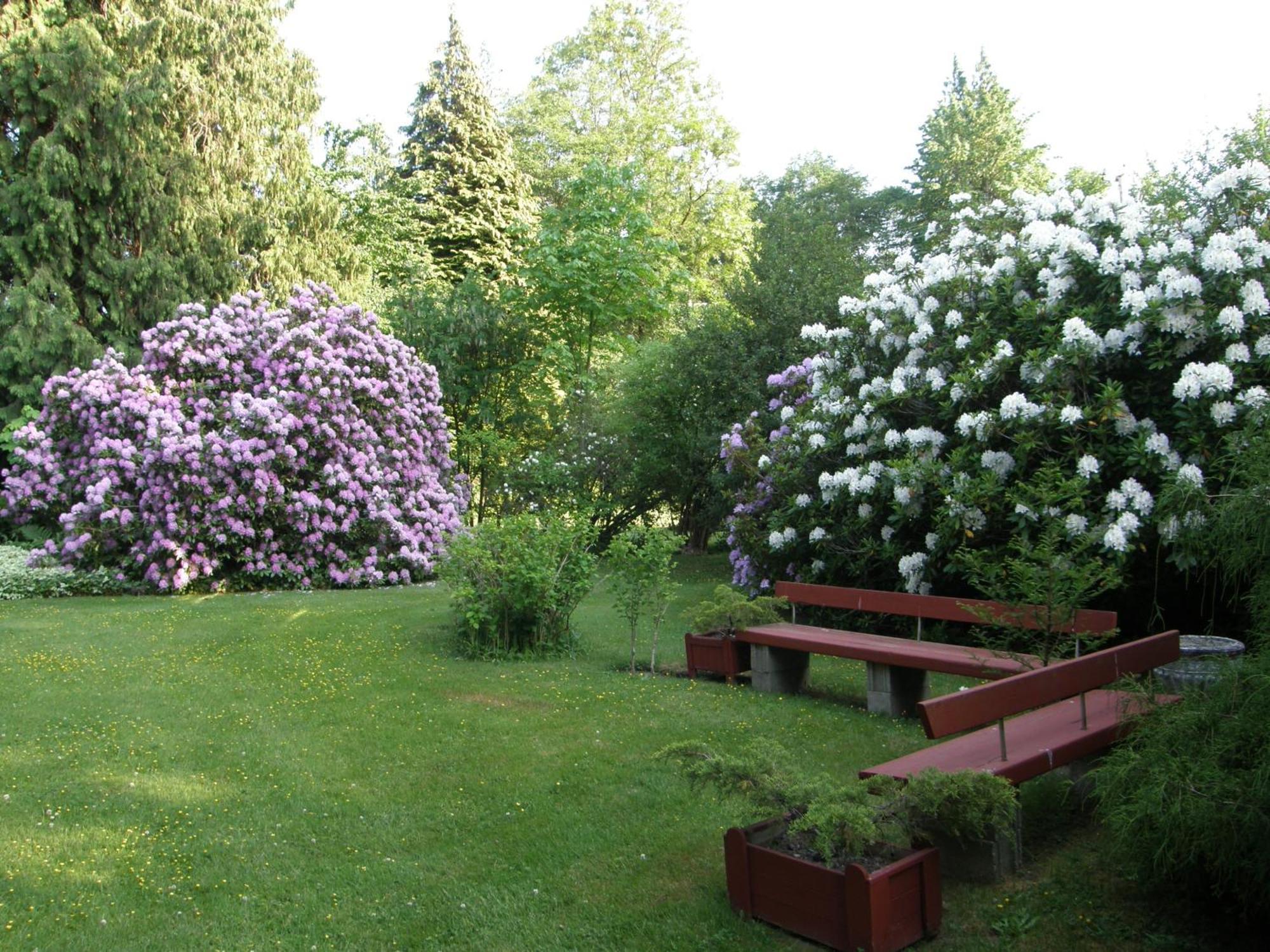 Cedar Wood Lodge Bed & Breakfast Inn Port Alberni Eksteriør billede