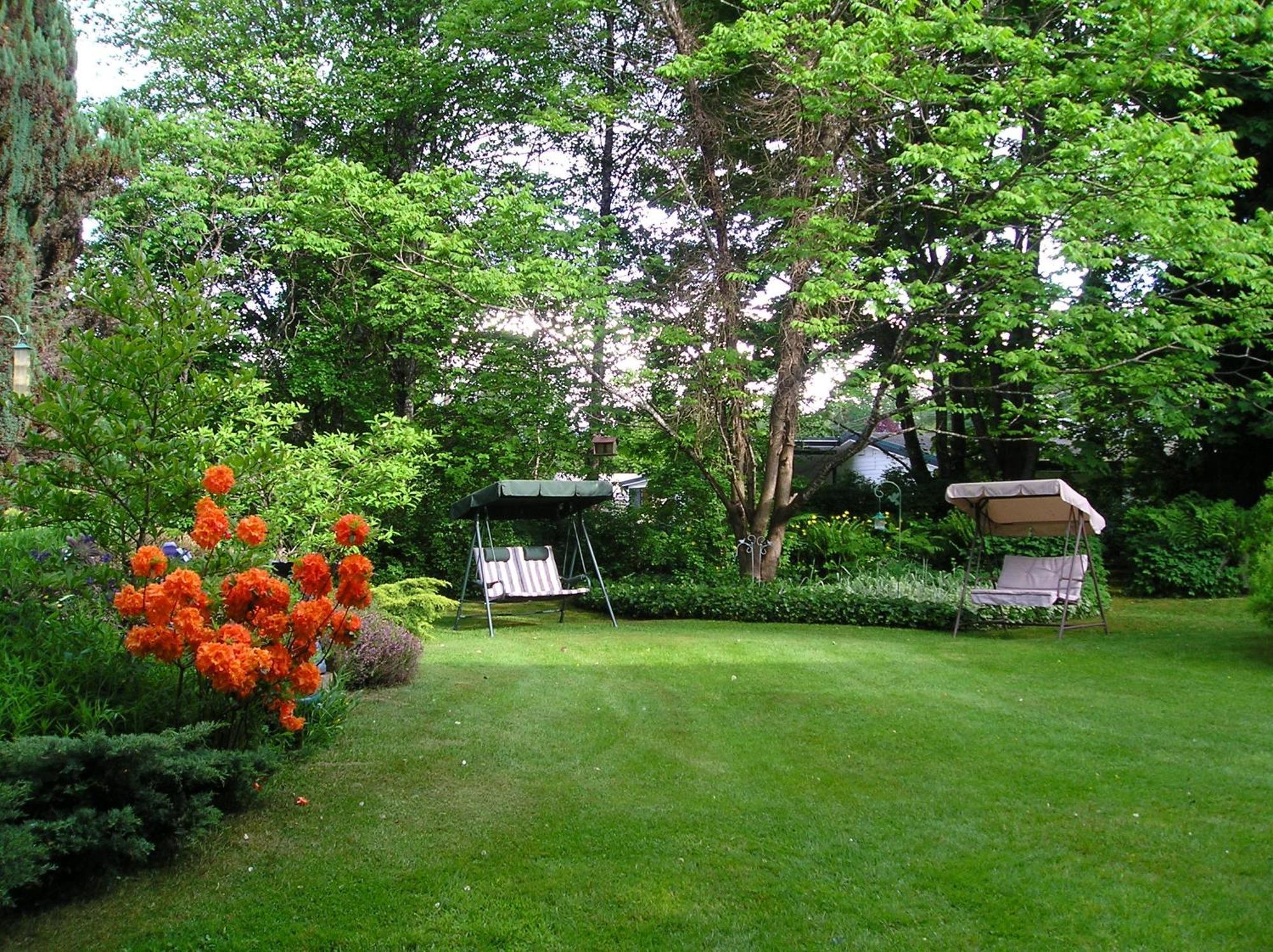 Cedar Wood Lodge Bed & Breakfast Inn Port Alberni Eksteriør billede